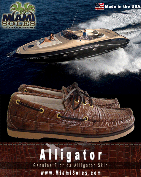 miami-brown-alligator2.gif